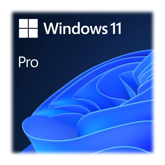 Windows 11 Home bootable usb flash drive